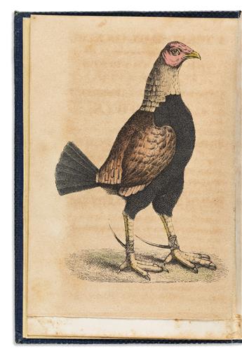 (SPORTS--COCKFIGHTING.) J.W. Cooper. A Treatise on Cocking, Giving a History of the Various Breeds of Imported and American Game Fowls.